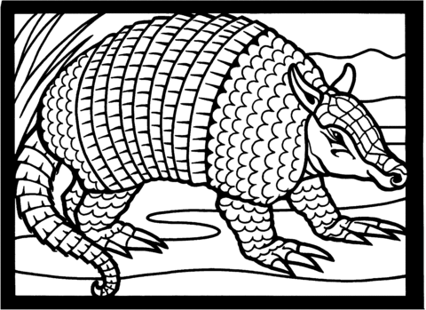 Texas Nine Banded Armadillo Coloring Page